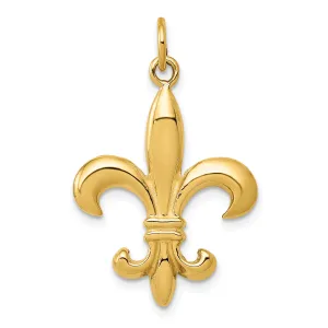14K Gold Fleur de Lis 3D Men's Charm with Polished Finish