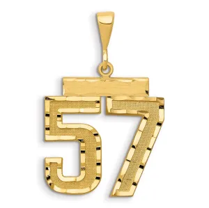 14K Gold Large Diamond-Cut Number 57 Brushed Charm