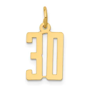 14K Gold Polished Elongated Charm Small, Laser Cut Design