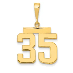 14K Gold Polished Number 35 Charm in Medium Size