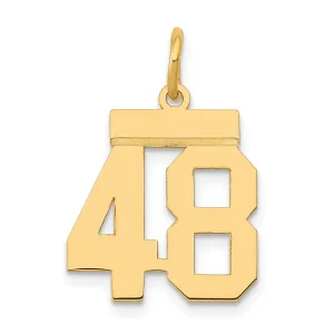 14K Gold Polished Number 48 Charm Laser Cut Small