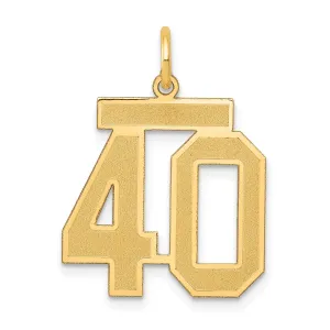14K Gold Satin Finish Number 40 Charm  Elegant Brushed Design