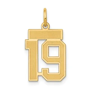 14K Gold Satin Number 19 Charm with Brushed Finish Small