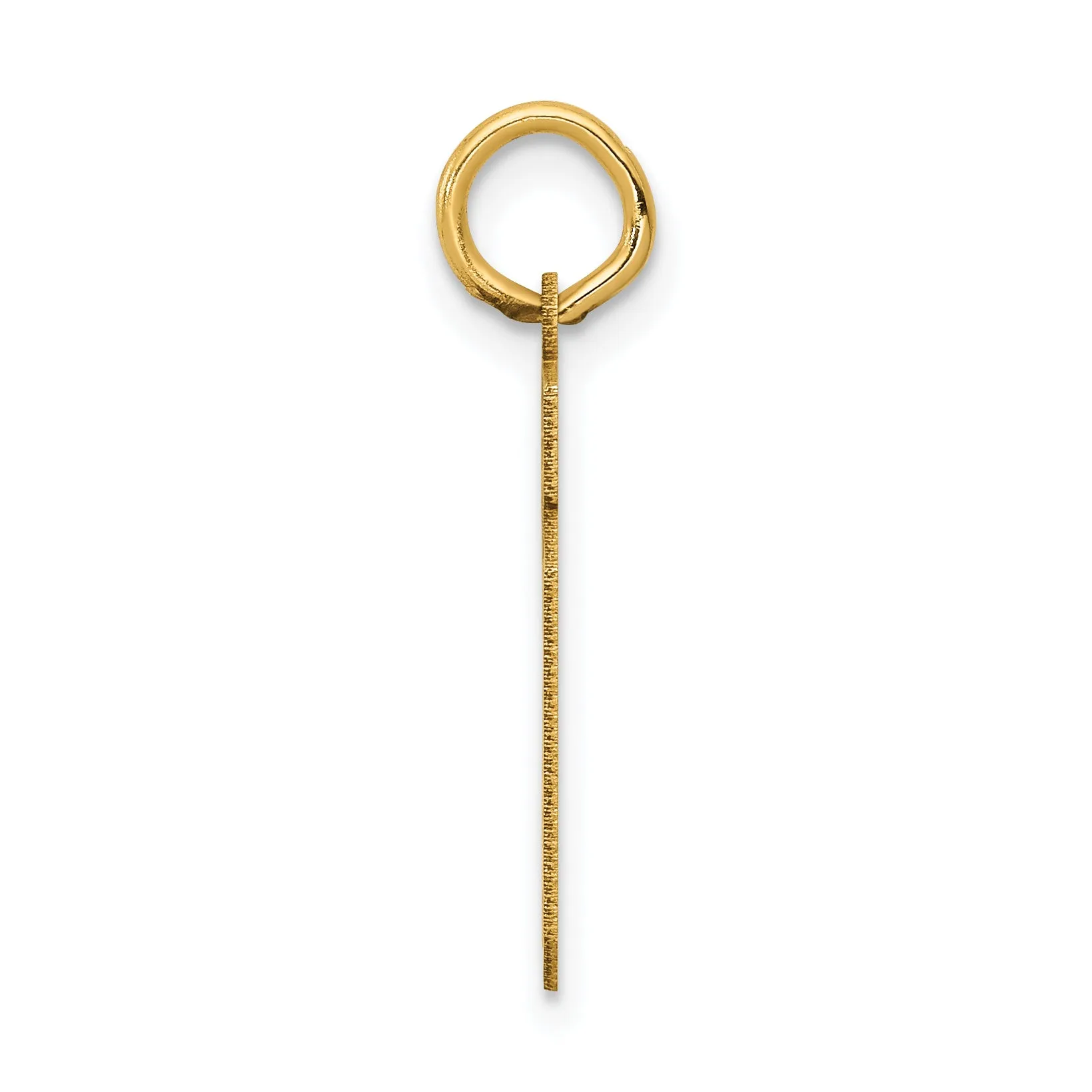 14K Gold Satin Number 19 Charm with Brushed Finish Small