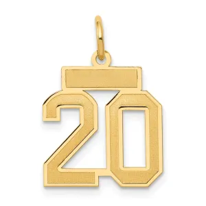 14K Gold Satin Number 20 Charm with Brushed Finish Small Elegant Design