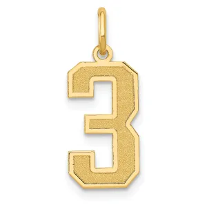 14K Gold Satin Number 3 Charm with Brushed Finish  Medium Size