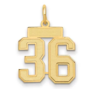 14K Gold Satin Number 36 Charm with Brushed Finish Small
