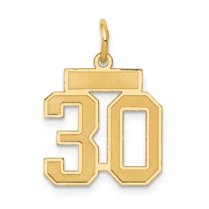 14K Gold Small Satin Number 30 Charm with Brushed Finish
