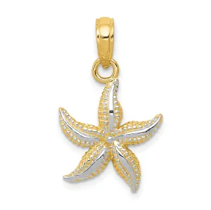 14K Gold Starfish Pendant with White Rhodium Accents Polished Finish