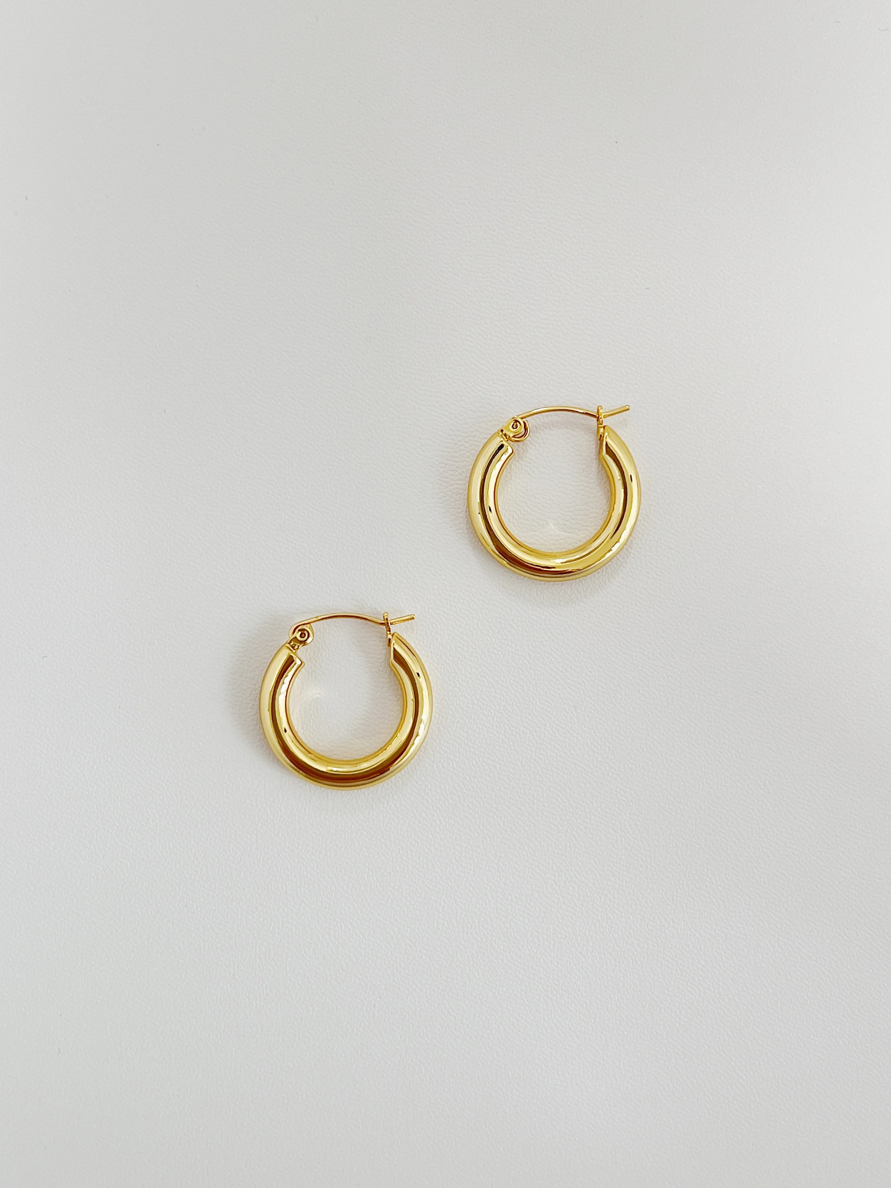 Alexa Bold Hoop Earrings