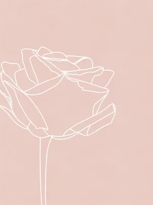 Blush flowers I