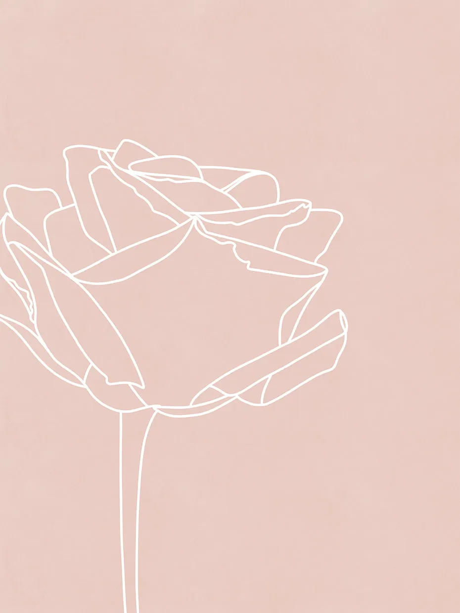 Blush flowers I