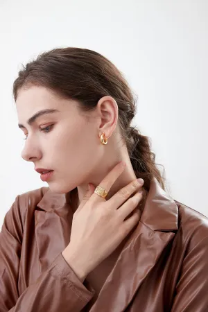 Bold Circle Hoops