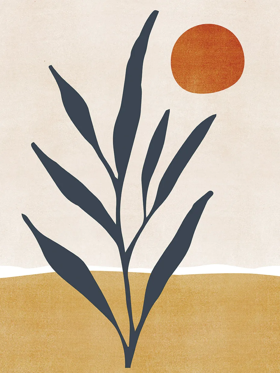 Desert Minimal Landscape