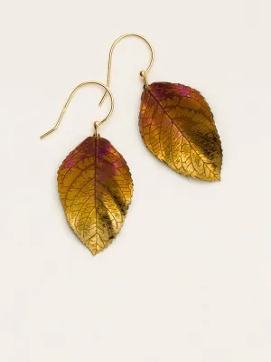 Holly Yashi Elm Earrings - Brown