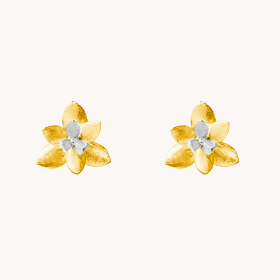 Lotus blossom gold stud earrings W.