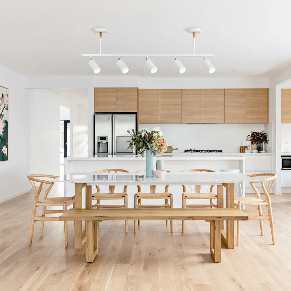 Mid-century Modern Dimmable Track Light Pendant