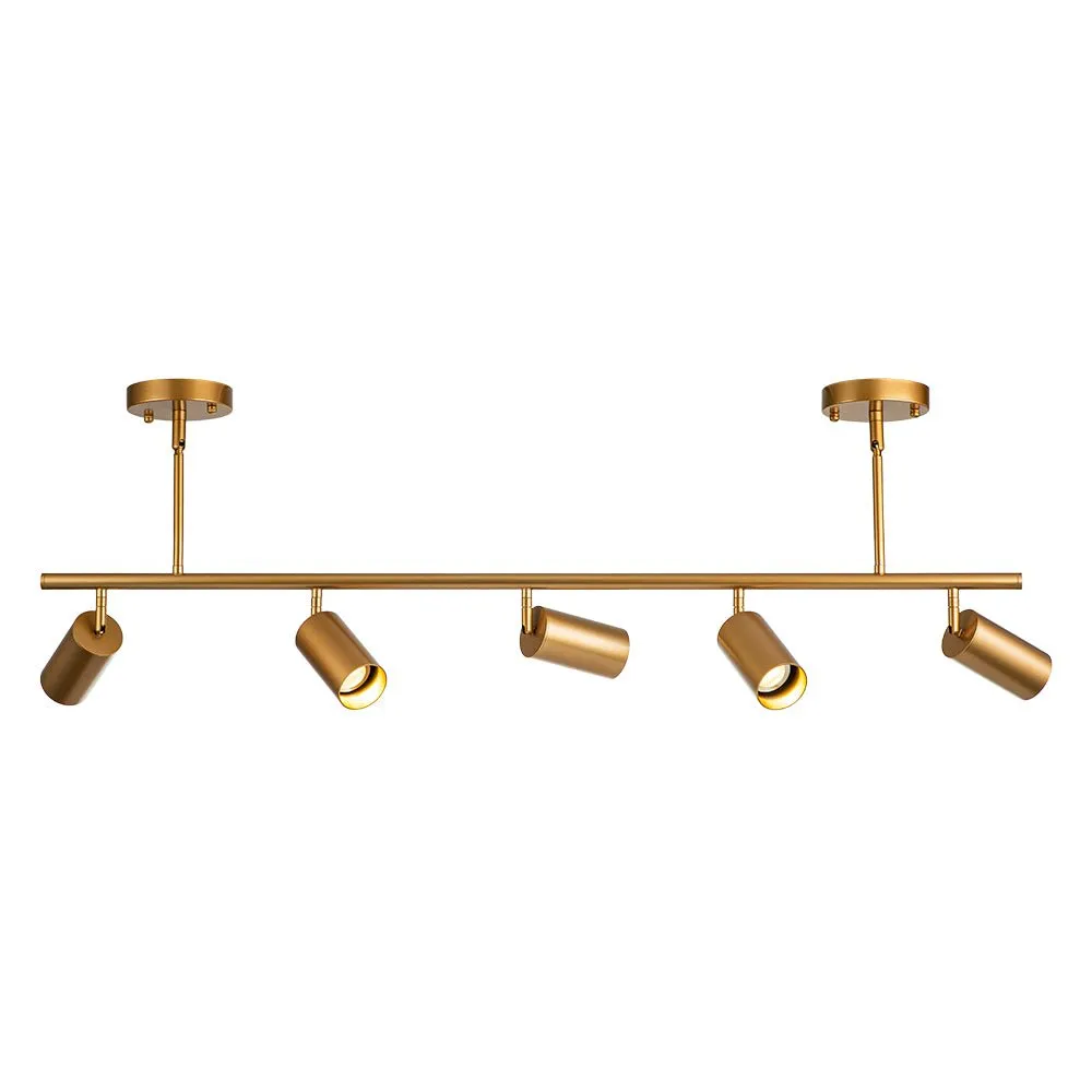 Mid-century Modern Dimmable Track Light Pendant